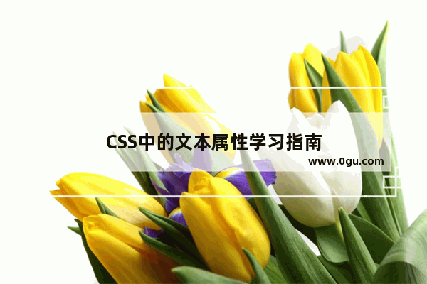 CSS中的文本属性学习指南