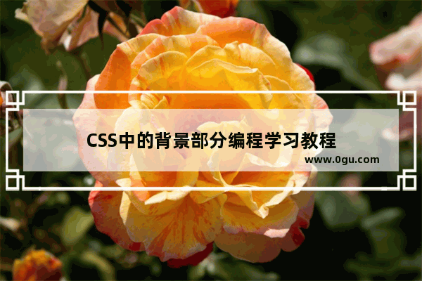 CSS中的背景部分编程学习教程