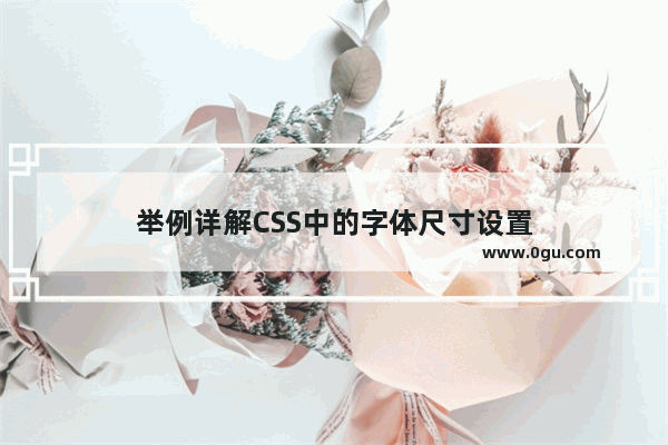 举例详解CSS中的字体尺寸设置