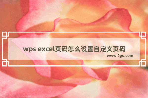 wps excel页码怎么设置自定义页码 WPS Excel自定义设置页码的方法