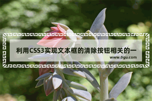 利用CSS3实现文本框的清除按钮相关的一些效果