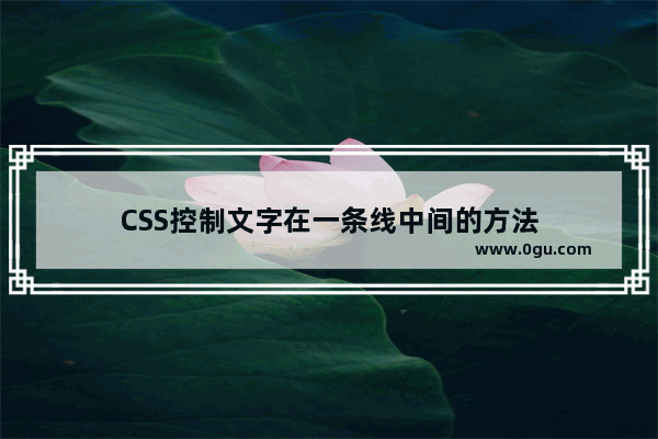 CSS控制文字在一条线中间的方法