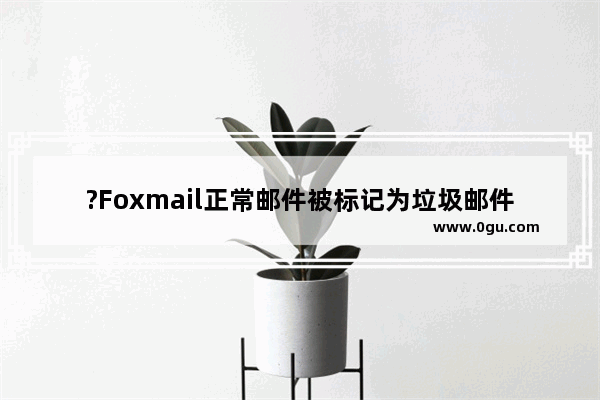 ?Foxmail正常邮件被标记为垃圾邮件怎么办 Foxmail邮箱解决正常邮件被判为垃圾邮件的方法教程