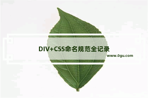 DIV+CSS命名规范全记录