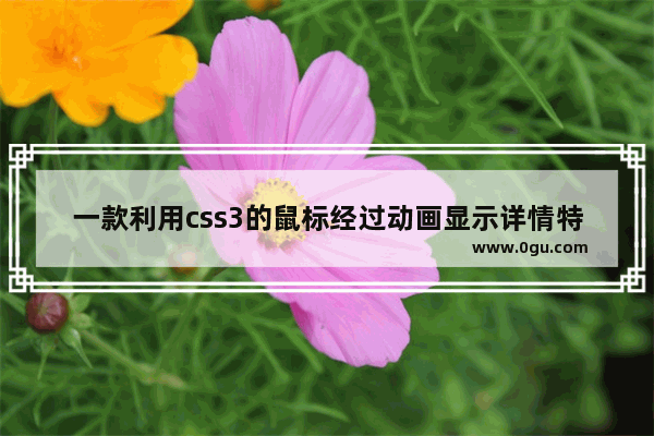 一款利用css3的鼠标经过动画显示详情特效的实例教程