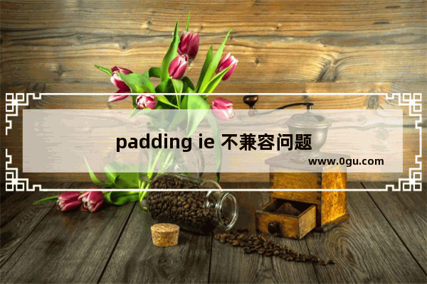 padding ie 不兼容问题