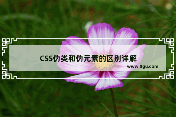 CSS伪类和伪元素的区别详解