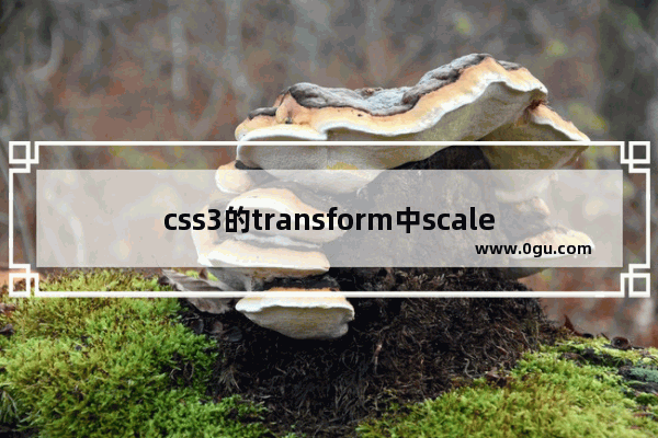 css3的transform中scale缩放详解