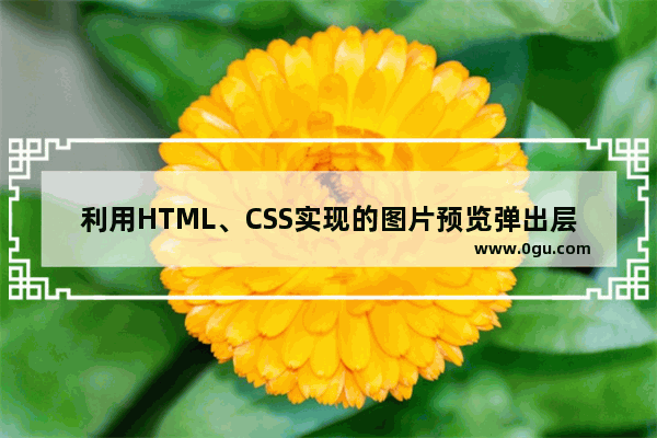 利用HTML、CSS实现的图片预览弹出层的教程