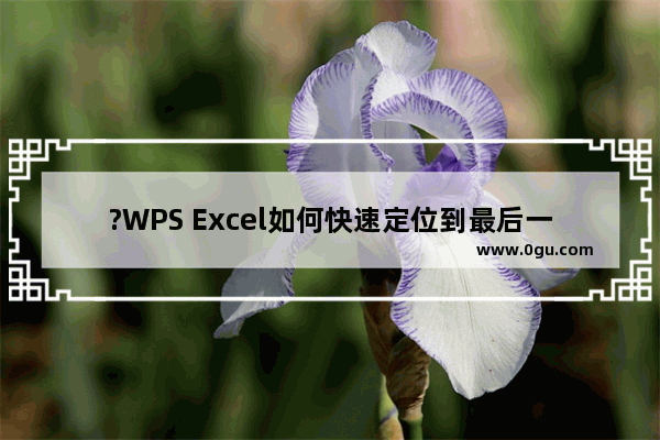 ?WPS Excel如何快速定位到最后一行 WPS表格快速定位跳转到长表格最有一行的方法教程