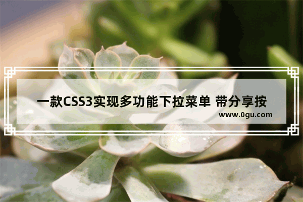 一款CSS3实现多功能下拉菜单 带分享按的教程