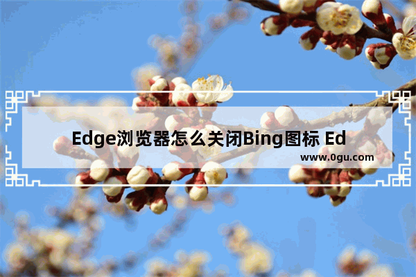 Edge浏览器怎么关闭Bing图标 Edge浏览器关闭Bing图标的方法