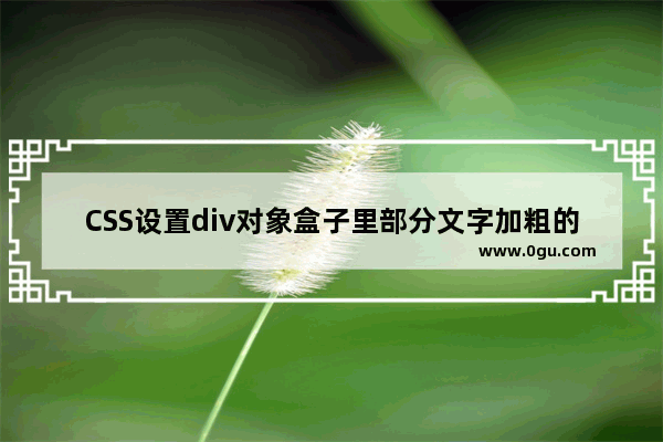 CSS设置div对象盒子里部分文字加粗的实例介绍