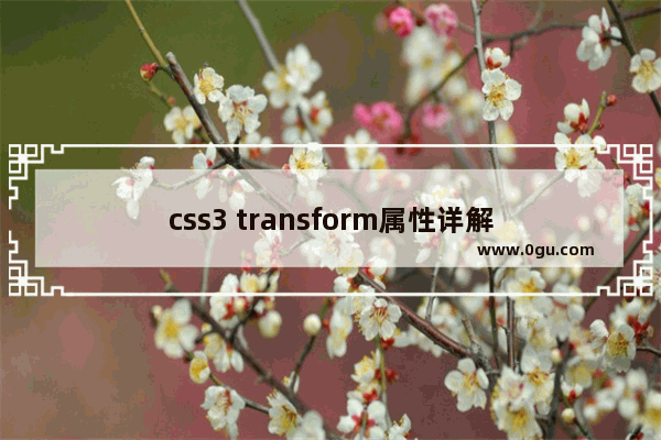 css3 transform属性详解