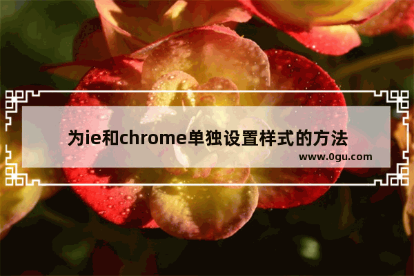 为ie和chrome单独设置样式的方法