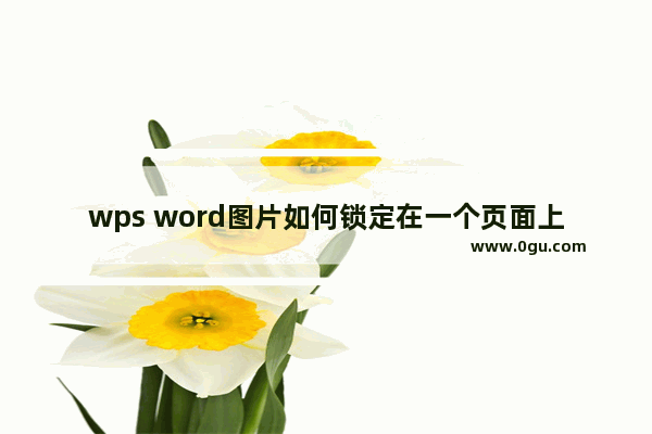 wps word图片如何锁定在一个页面上 WPS Word中让图片只在一个页面上移动的方法