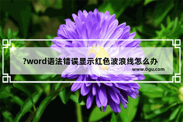 ?word语法错误显示红色波浪线怎么办 word取消显示红色波浪线的方法