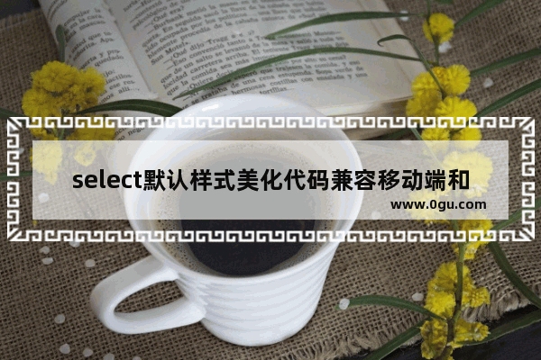 select默认样式美化代码兼容移动端和pc端