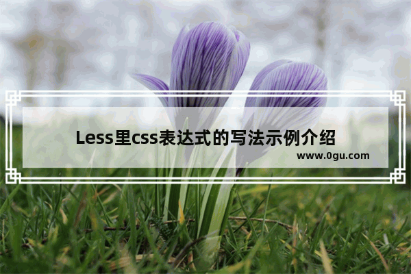 Less里css表达式的写法示例介绍