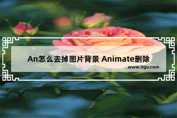 An怎么去掉图片背景 Animate删除图片背景的方法