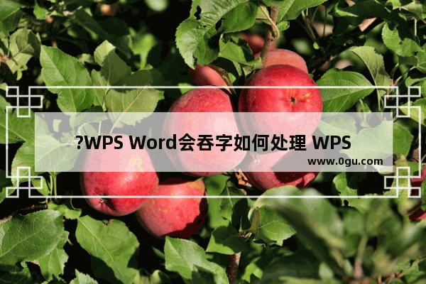 ?WPS Word会吞字如何处理 WPS文档中解决输入新内容会吞掉原文字的方法教程