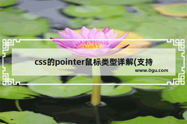 css的pointer鼠标类型详解(支持IE，firefox，chrome)