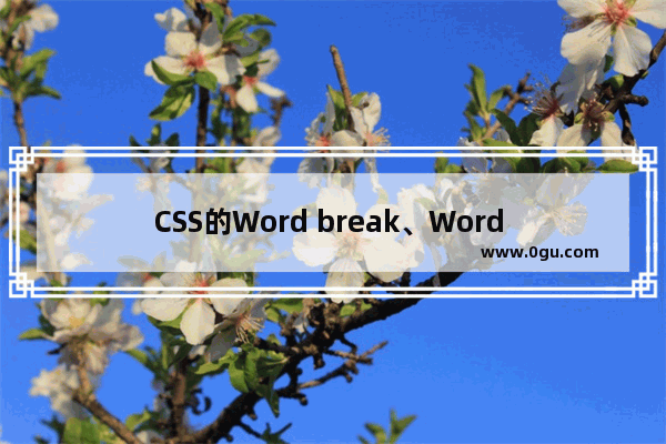 CSS的Word break、Word Wrap的区别及应用