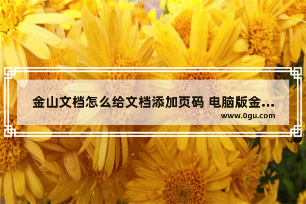 金山文档怎么给文档添加页码 电脑版金山文档给文档添加页码的方法