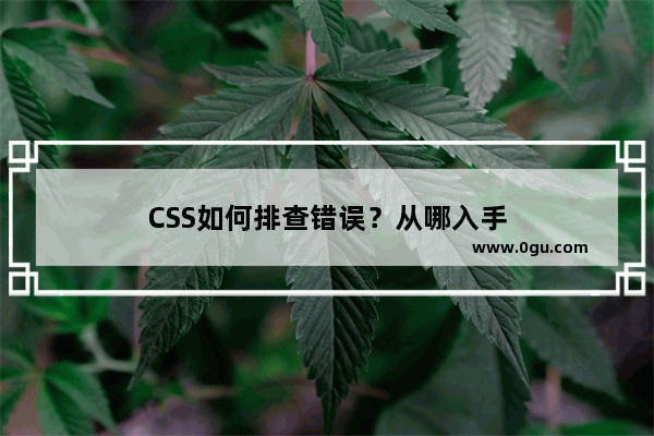 CSS如何排查错误？从哪入手