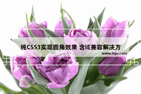 纯CSS3实现圆角效果 含IE兼容解决方法