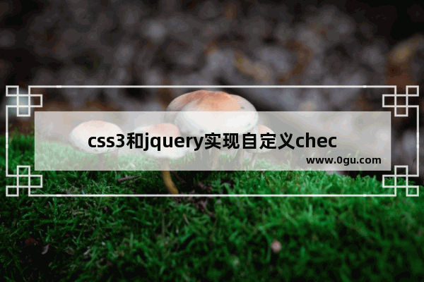 css3和jquery实现自定义checkbox和radiobox组件