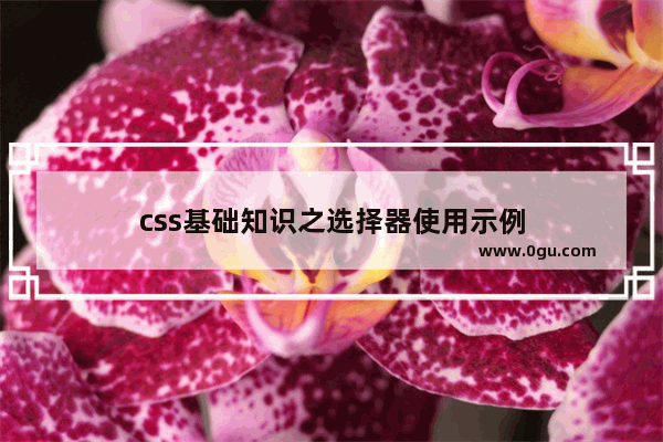 css基础知识之选择器使用示例