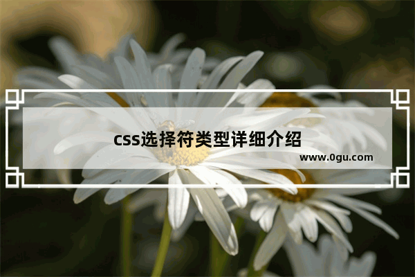 css选择符类型详细介绍