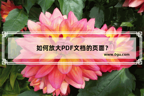 如何放大PDF文档的页面？