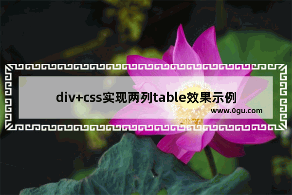 div+css实现两列table效果示例