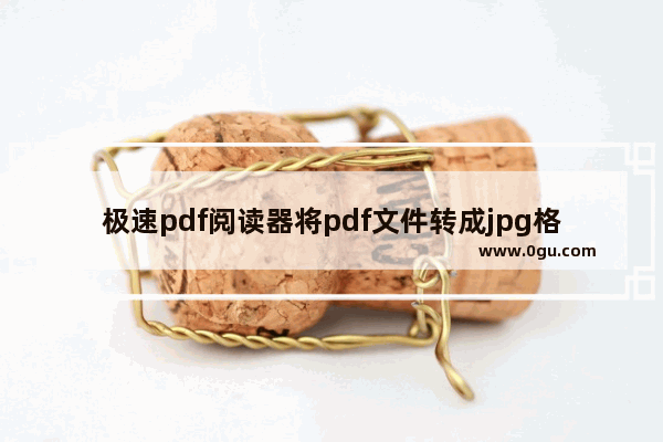 极速pdf阅读器将pdf文件转成jpg格式的具体操作步骤