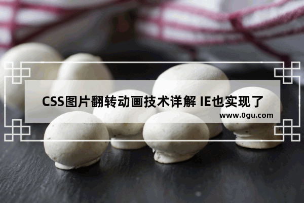 CSS图片翻转动画技术详解 IE也实现了