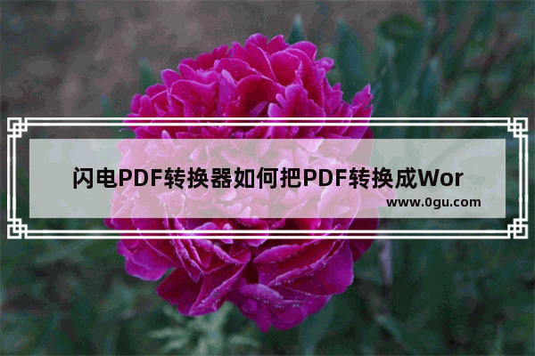 闪电PDF转换器如何把PDF转换成Word？