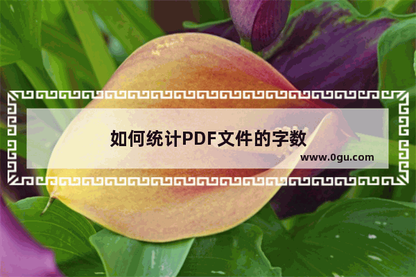 如何统计PDF文件的字数