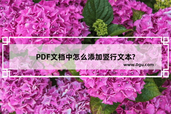 PDF文档中怎么添加竖行文本?