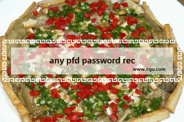 any pfd password recover去除PDF密码的方法