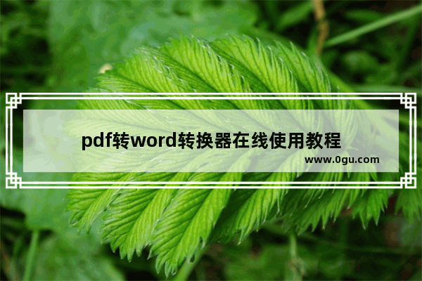 pdf转word转换器在线使用教程