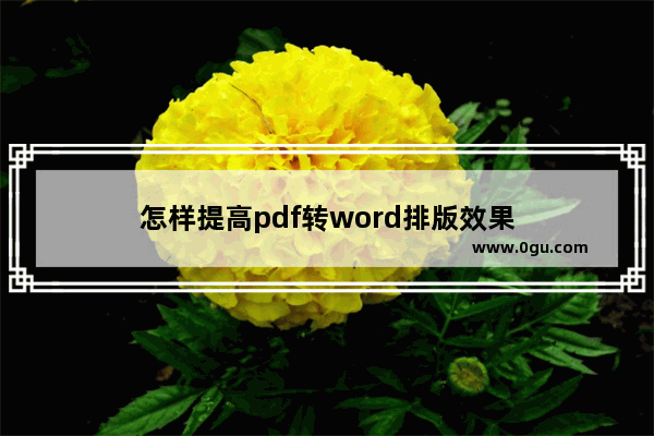 怎样提高pdf转word排版效果