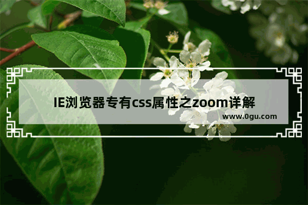 IE浏览器专有css属性之zoom详解