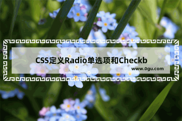 CSS定义Radio单选项和Checkbox复选框样式有效代码