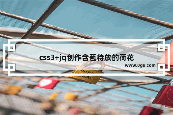 css3+jq创作含苞待放的荷花