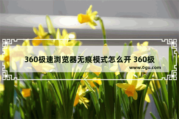 360极速浏览器无痕模式怎么开 360极速浏览器开启无痕模式的方法