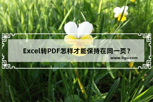 Excel转PDF怎样才能保持在同一页？