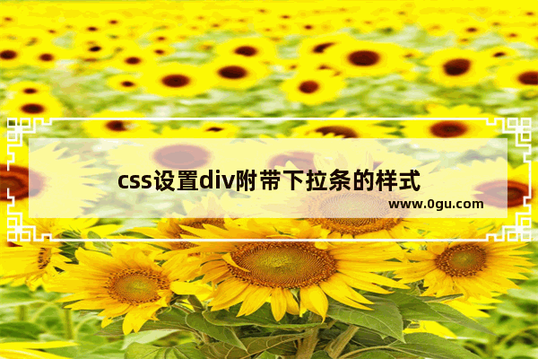 css设置div附带下拉条的样式