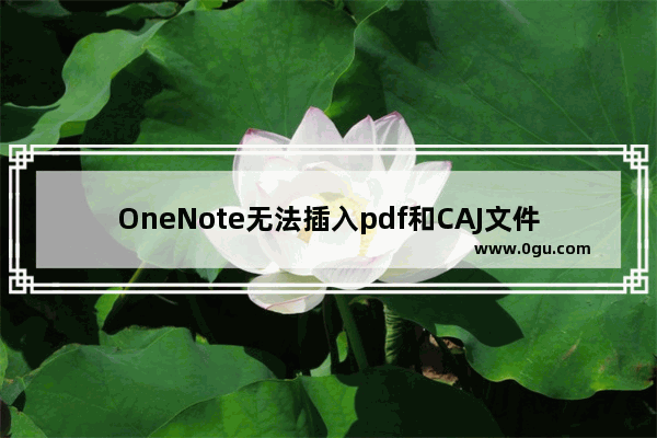 OneNote无法插入pdf和CAJ文件链接怎么办